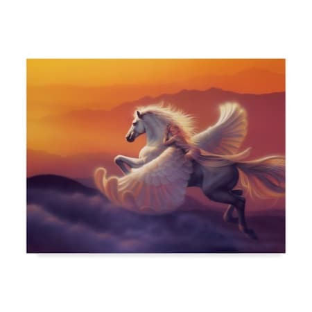 Kirk Reinert 'Wings Of A Dream' Canvas Art,24x32